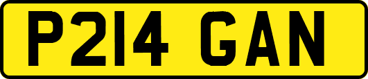 P214GAN