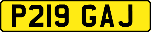 P219GAJ