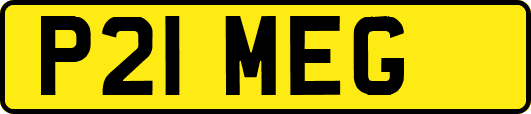 P21MEG