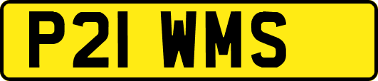P21WMS