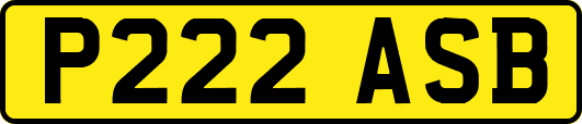 P222ASB