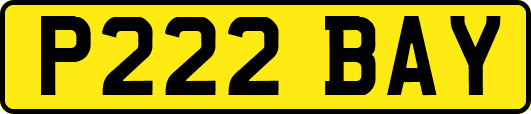 P222BAY