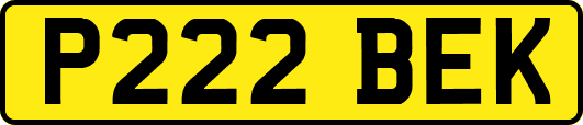 P222BEK