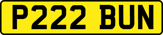 P222BUN