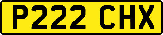 P222CHX