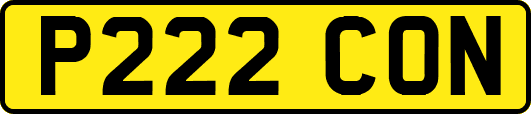 P222CON
