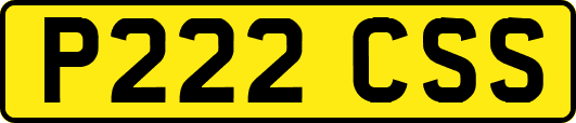 P222CSS