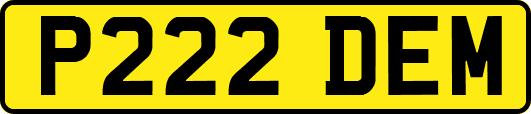 P222DEM