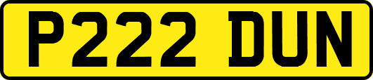 P222DUN