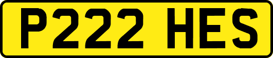 P222HES