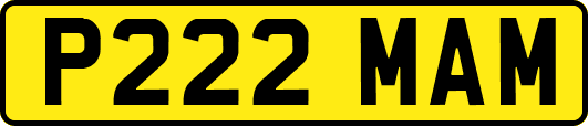 P222MAM