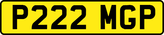 P222MGP