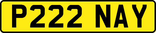 P222NAY