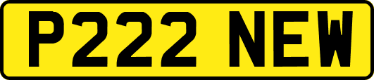 P222NEW