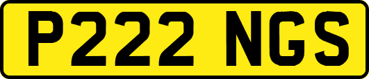 P222NGS