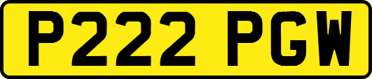 P222PGW