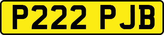 P222PJB