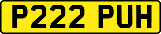 P222PUH