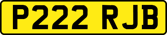P222RJB
