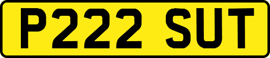 P222SUT