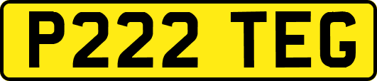 P222TEG