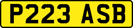 P223ASB