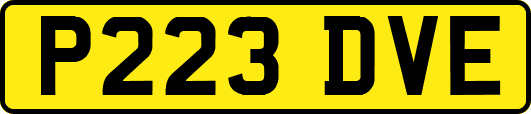 P223DVE