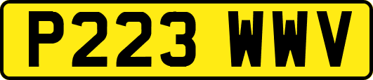 P223WWV