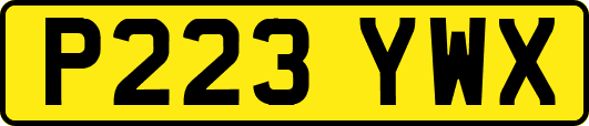 P223YWX