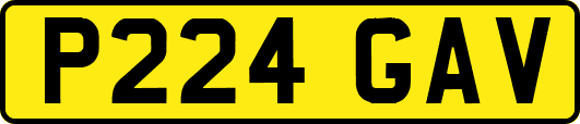 P224GAV