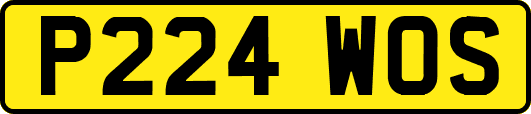 P224WOS