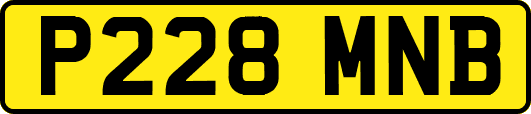 P228MNB
