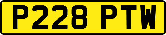 P228PTW
