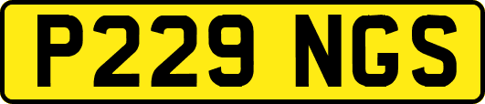P229NGS