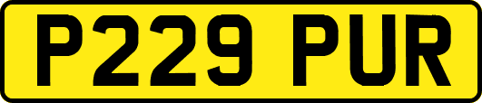 P229PUR