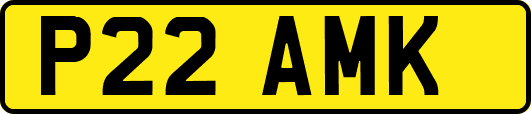 P22AMK