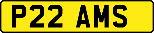 P22AMS