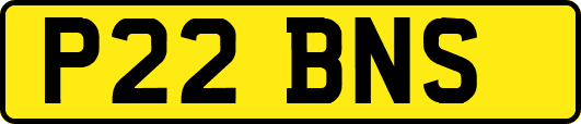 P22BNS