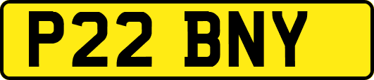 P22BNY