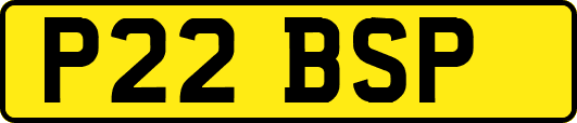 P22BSP