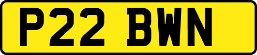 P22BWN