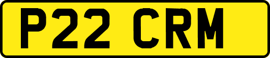 P22CRM