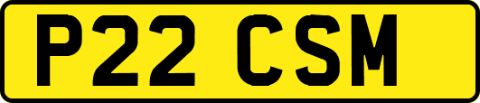 P22CSM