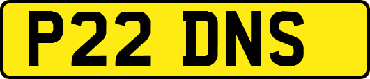 P22DNS