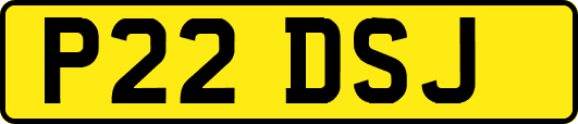 P22DSJ