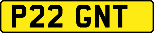 P22GNT