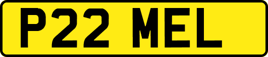 P22MEL