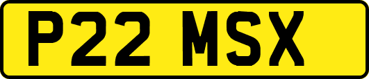 P22MSX