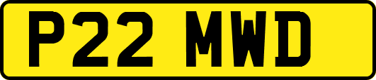 P22MWD