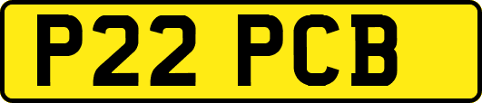 P22PCB